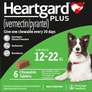 6 Chewable Beef Flavoured Heartgard Plus for Medium Dogs Heartworm 25-50lbs (136mcg)