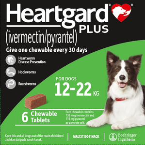 Chewable Beef Flavoured Heartgard Plus for Medium Dogs Heartworm