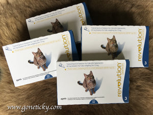 4 Boxes REVOLUTION® (12 doses) 45mg Treatment for Fleas & Ear Mites for CATS & KITTENS 5.1-15lbs (2.6-7.5kg)